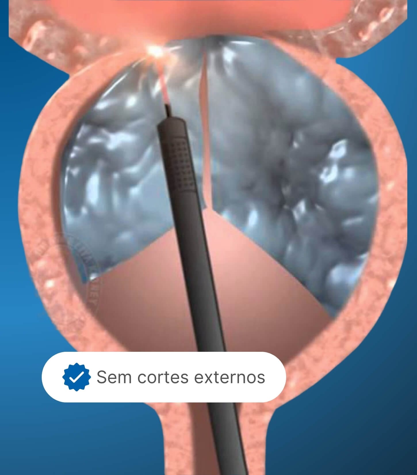 BANNER NOVO MAURO - DESKTOP (19) (1)