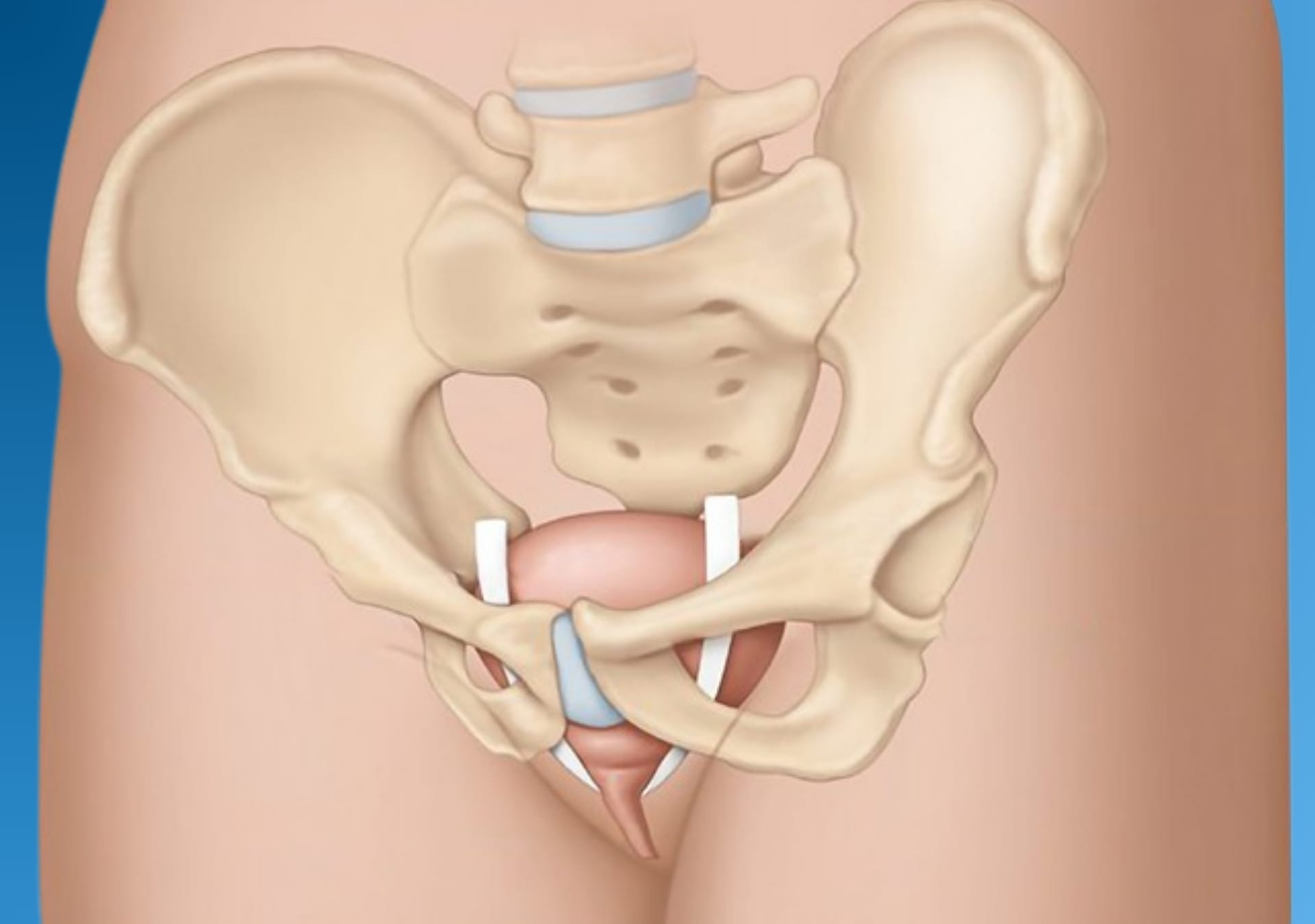 BANNER NOVO MAURO - DESKTOP (23)